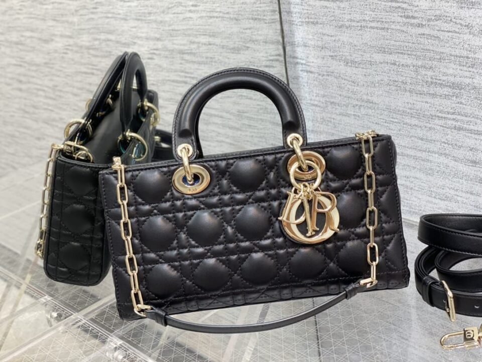 Dior D-Joy Bag